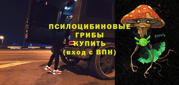 молекула духа Балахна
