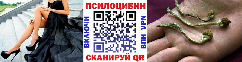 Псилоцибиновые грибы GOLDEN TEACHER Пятигорск