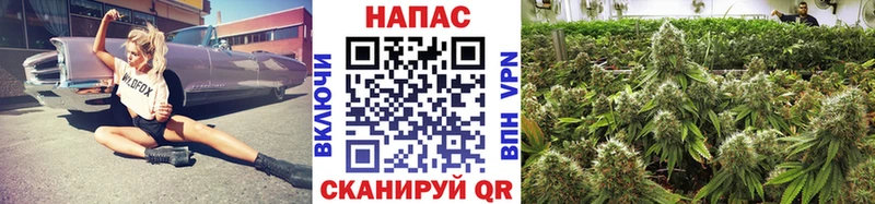 Конопля семена  Пятигорск 